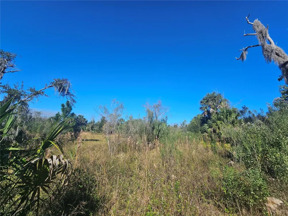 786 FORT FLORIDA ROAD Debary, FL 32713
