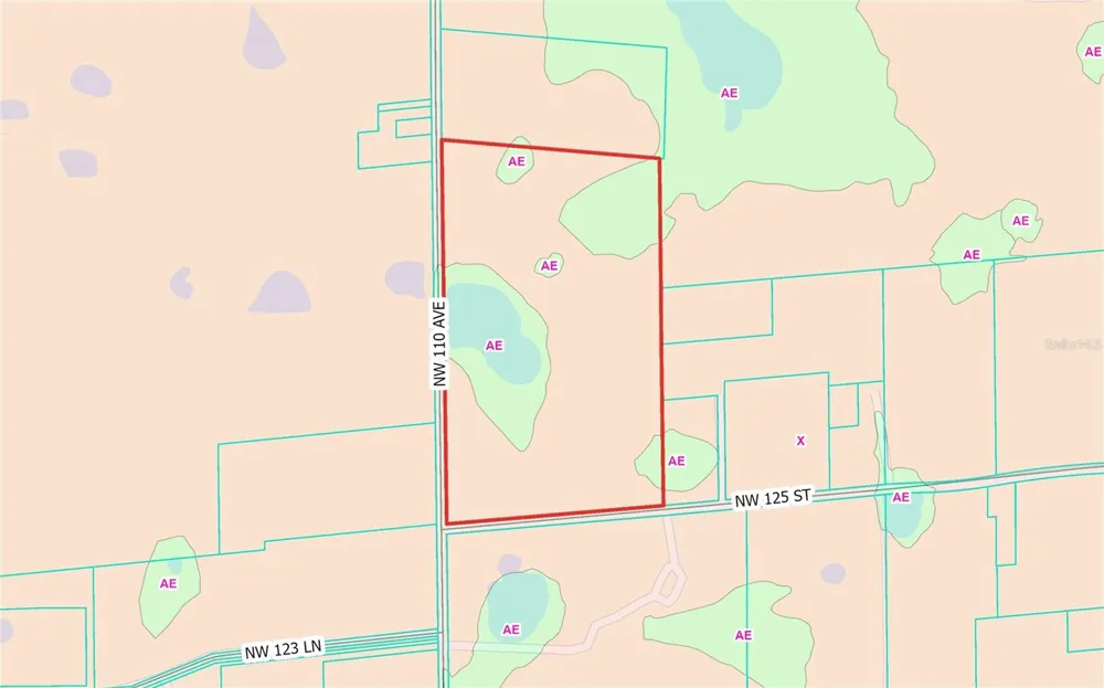 NW 110TH AVENUE Reddick, FL 32686