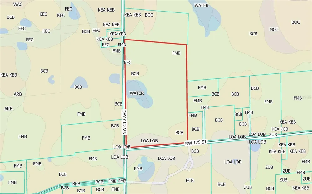 NW 110TH AVENUE Reddick, FL 32686