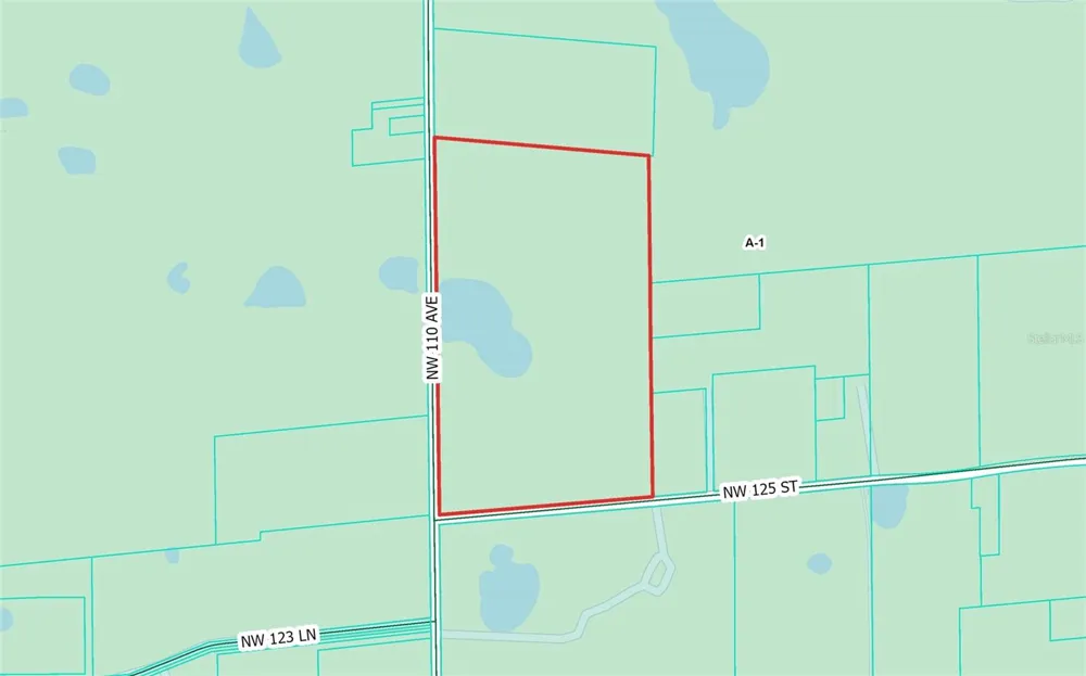 NW 110TH AVENUE Reddick, FL 32686