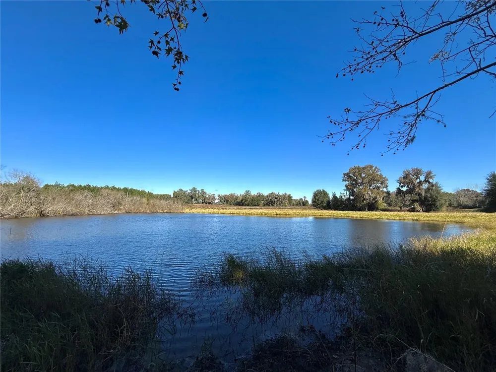 NW 110TH AVENUE Reddick, FL 32686