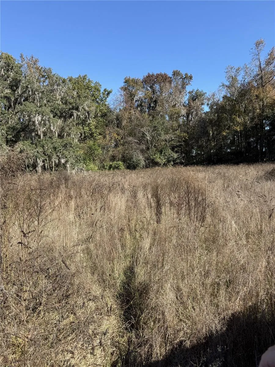 NW 110TH AVENUE Reddick, FL 32686