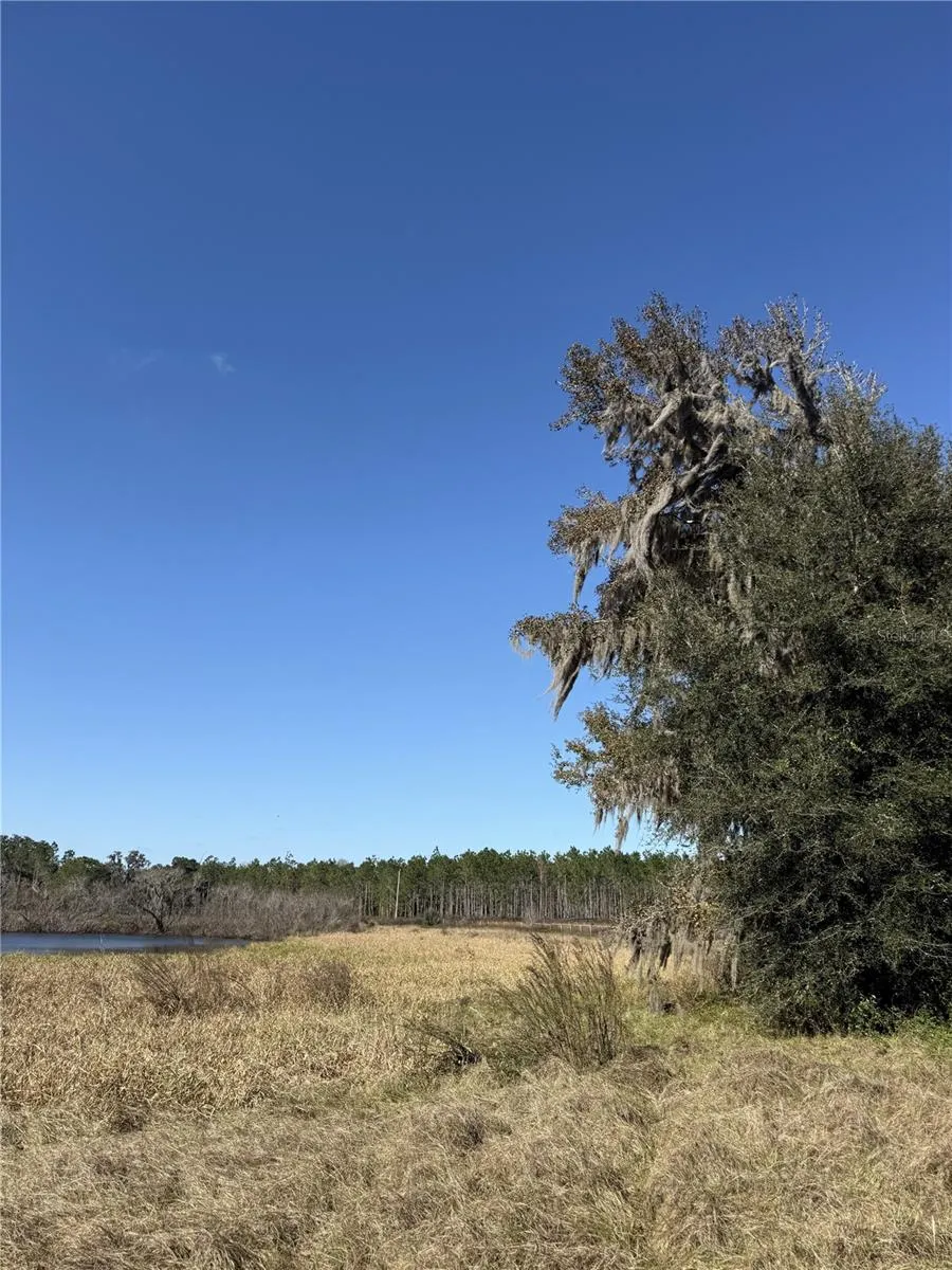 NW 110TH AVENUE Reddick, FL 32686