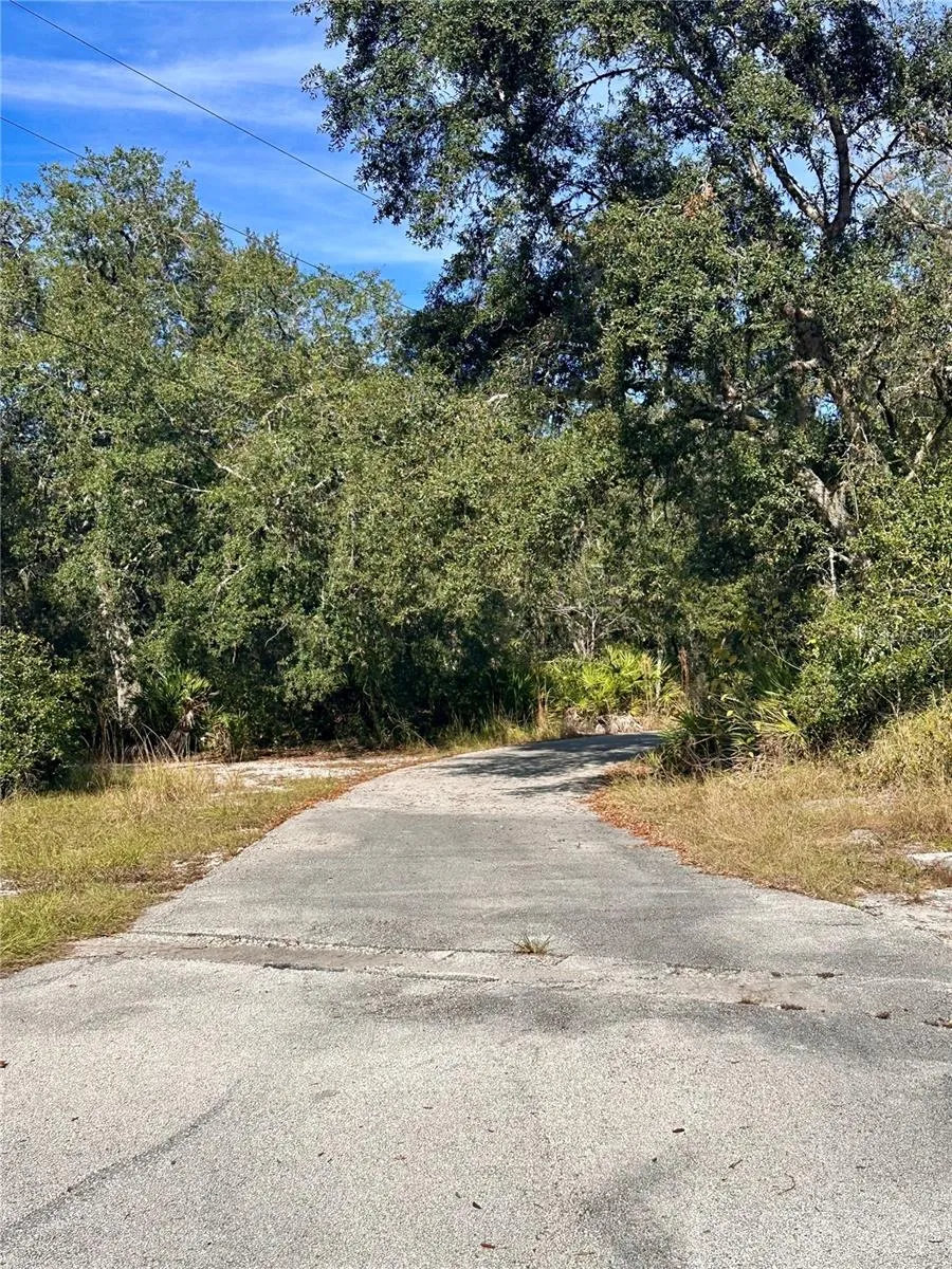 4125 TIGER CREEK TRL Lake Wales, FL 33898