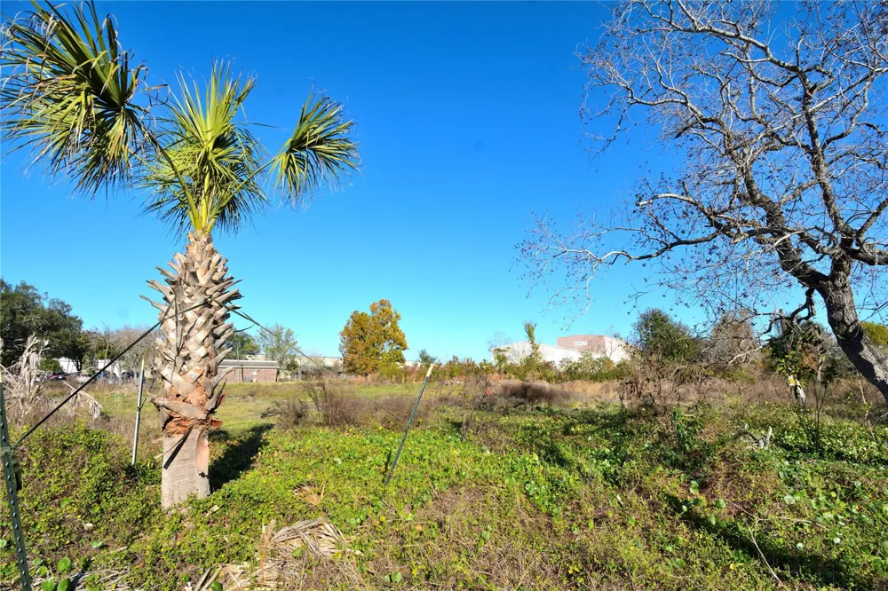 2423 Roy Road Pearland, TX 77581