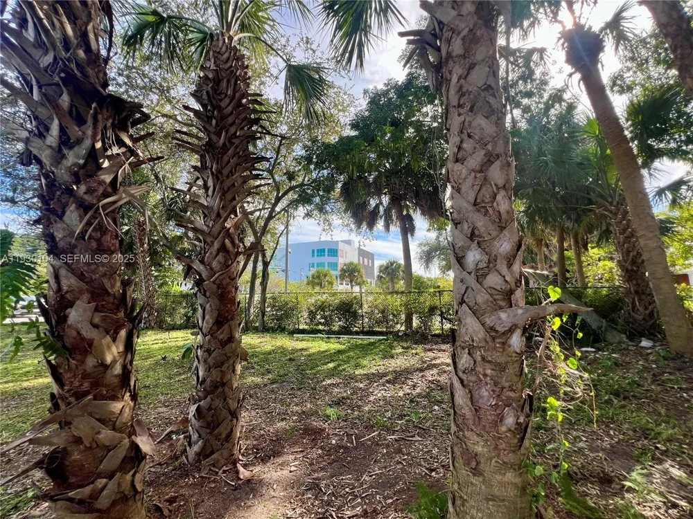 633 NW 14th Ter Fort Lauderdale, FL 33311