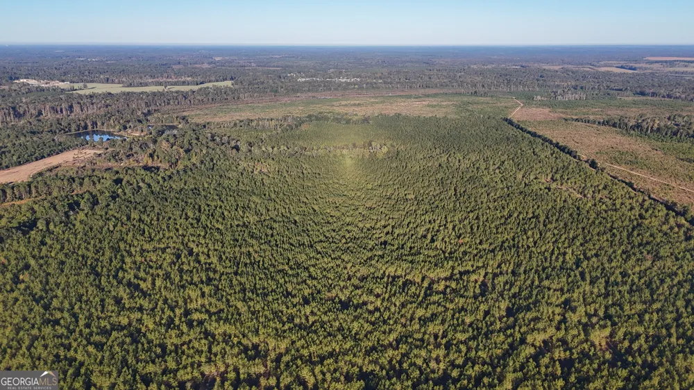 0 Buckeye RD East Dublin, GA 31027