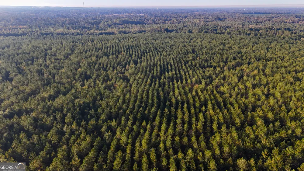 0 Buckeye RD East Dublin, GA 31027