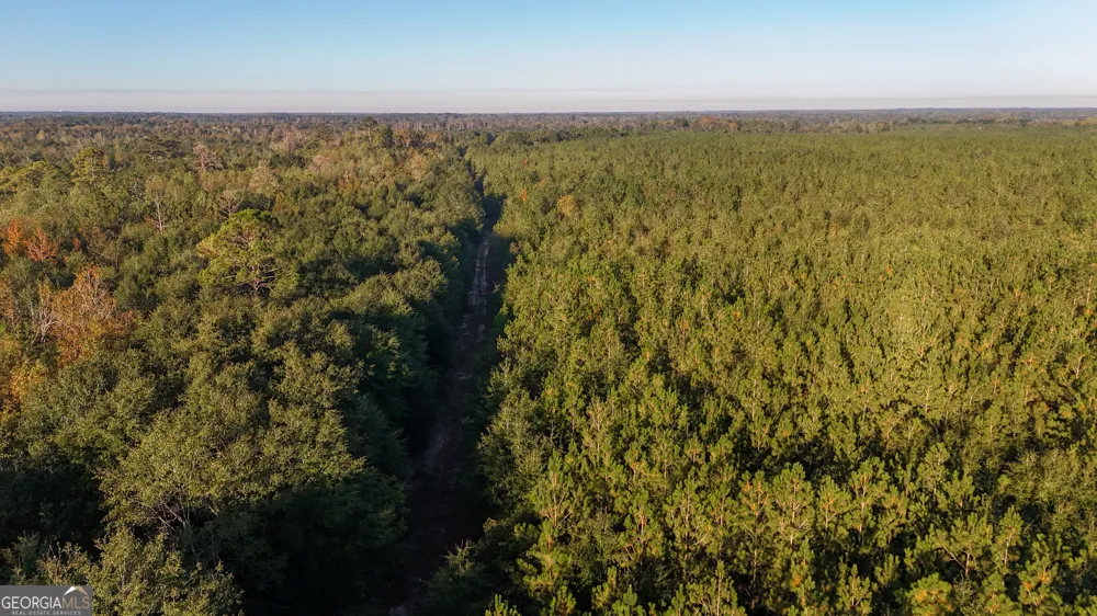0 Buckeye RD East Dublin, GA 31027