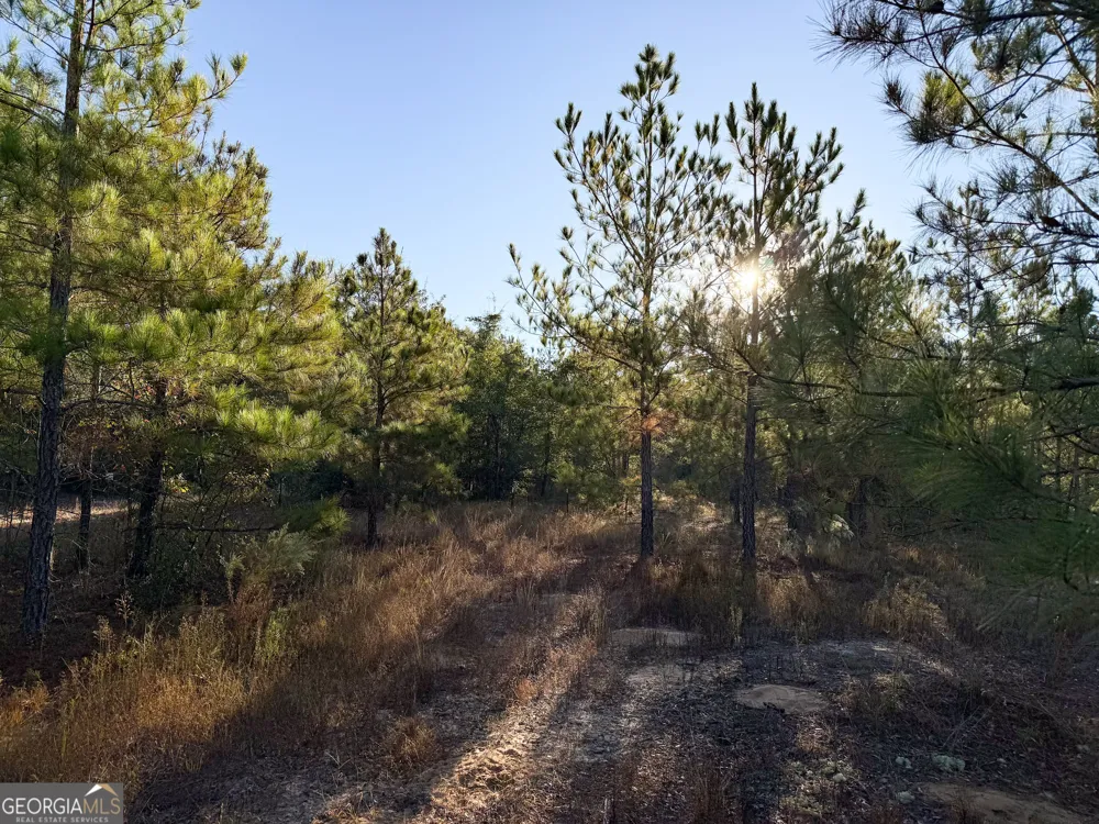 0 Buckeye RD East Dublin, GA 31027