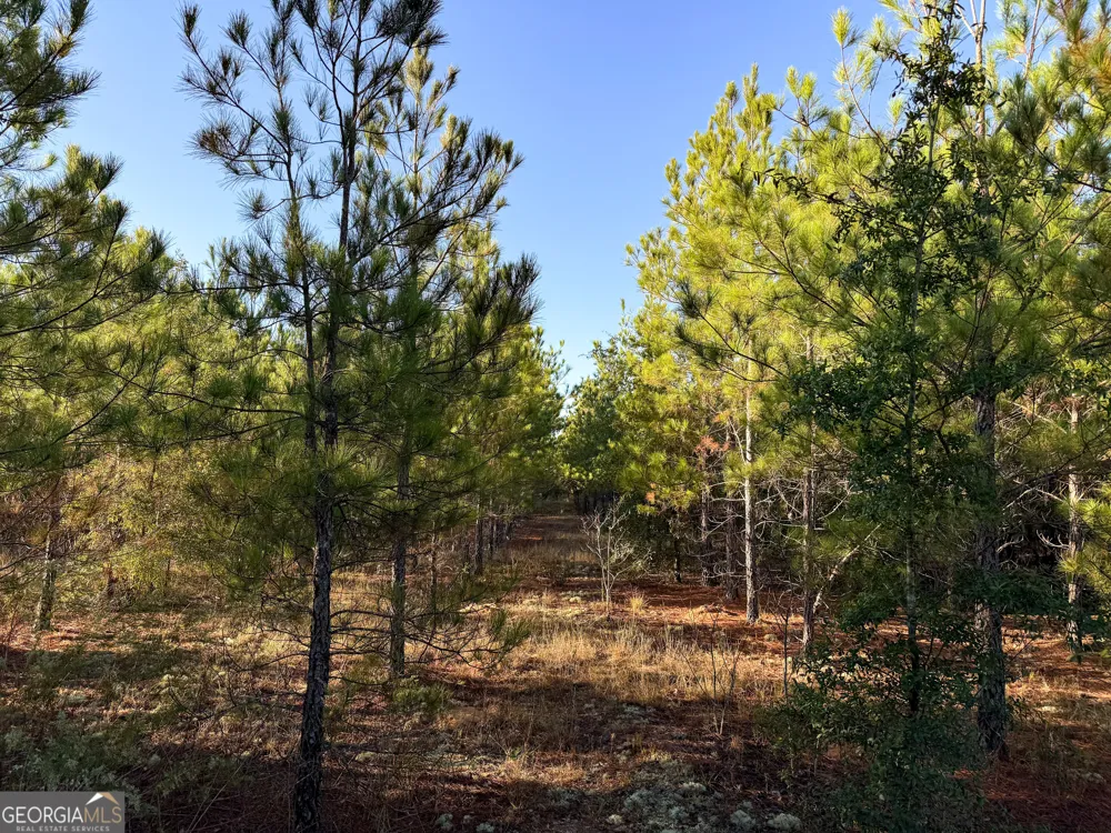 0 Buckeye RD East Dublin, GA 31027