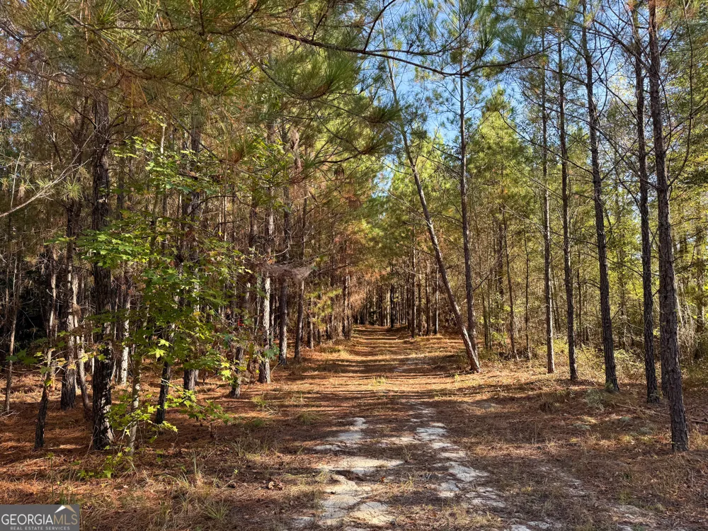 0 Raymond Wilkes RD Rockledge, GA 30454