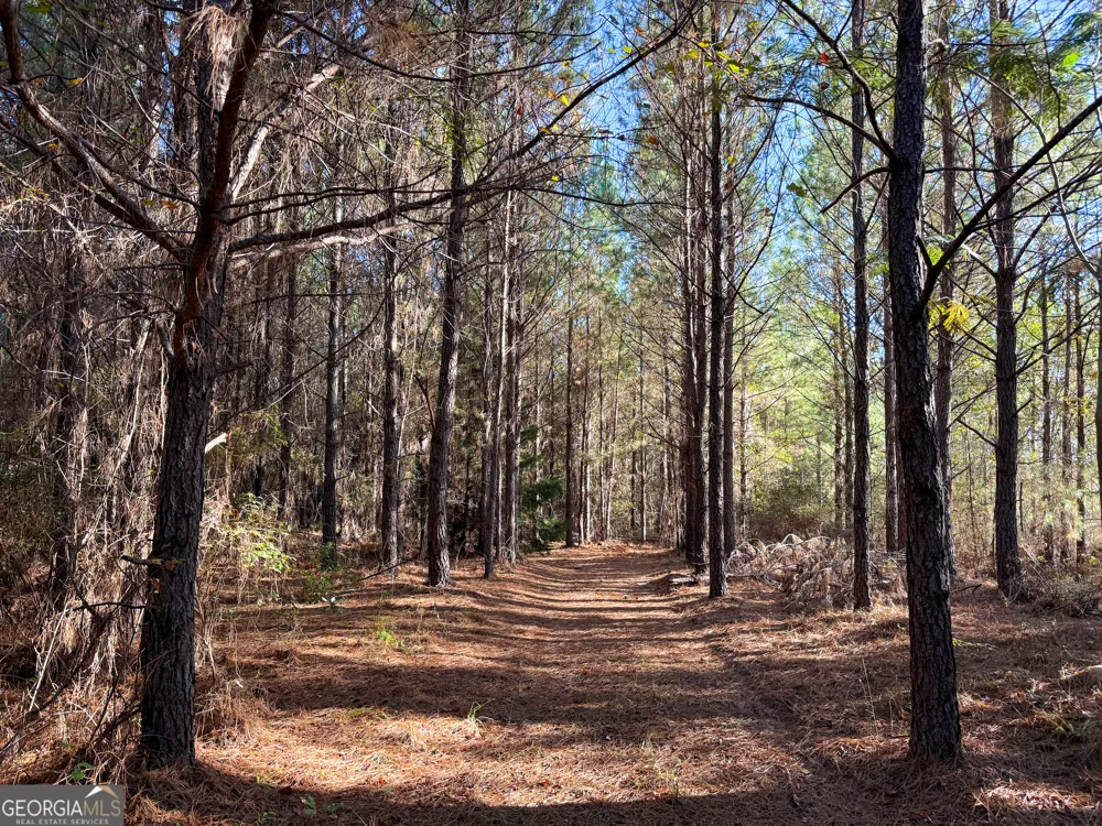 0 Raymond Wilkes RD Rockledge, GA 30454