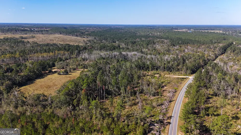 0 Stewart Cemetery RD Alma, GA 31510