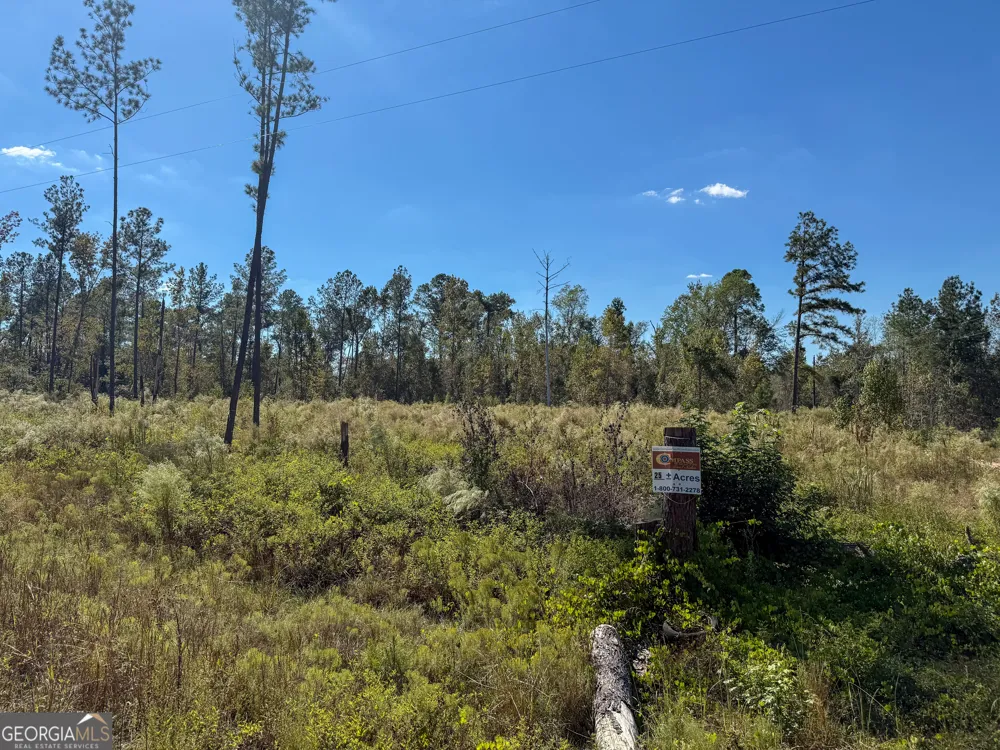 0 Stewart Cemetery RD Alma, GA 31510