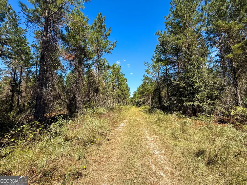 0 4th Street EXT Alma, GA 31510