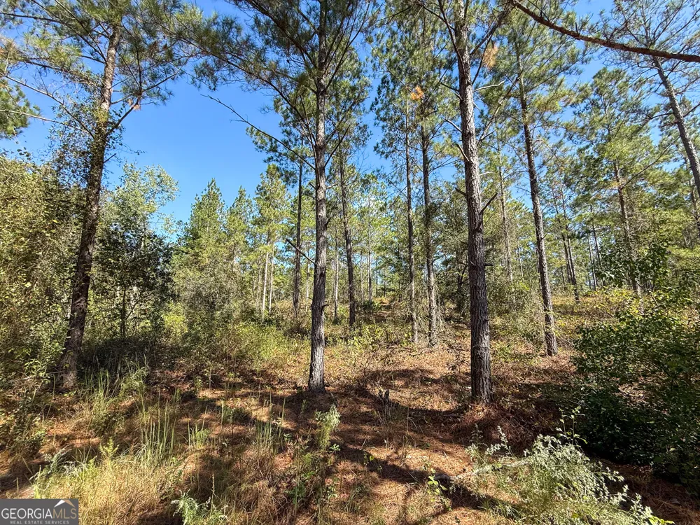 0 4th Street EXT Alma, GA 31510