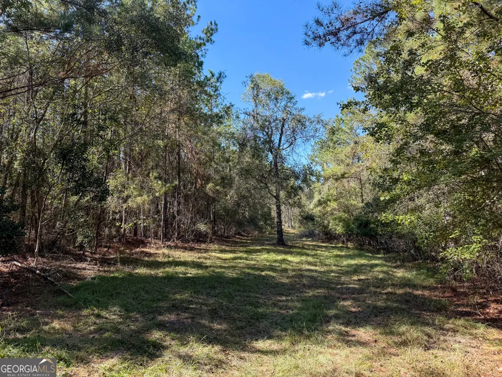 0 4th Street EXT Alma, GA 31510
