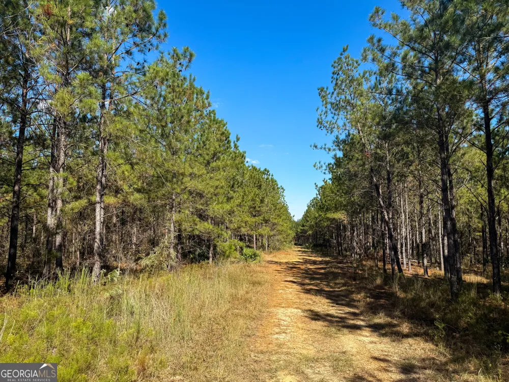 0 4th Street EXT Alma, GA 31510