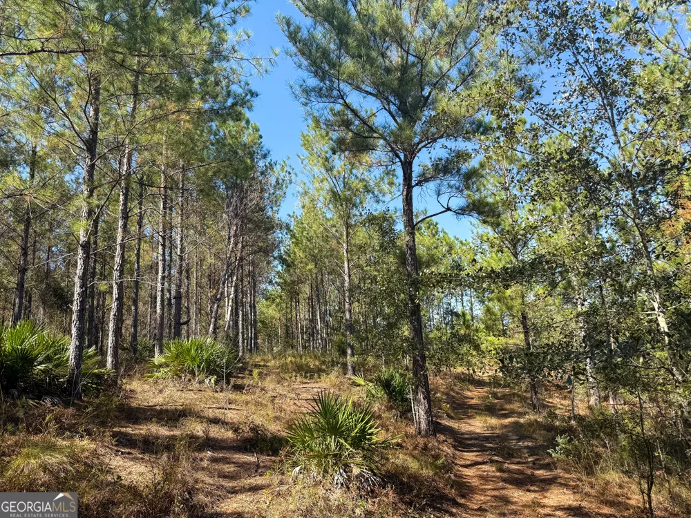 0 4th Street EXT Alma, GA 31510