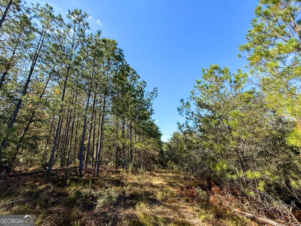 0 4th Street EXT Alma, GA 31510