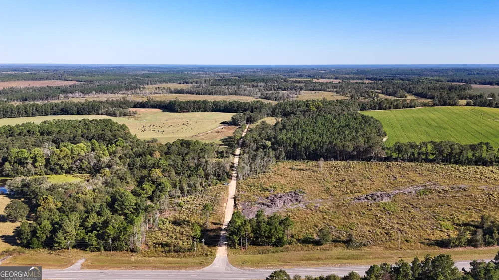0 Highway 441 Jacksonville, GA 31544