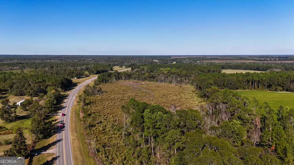 0 Highway 441 Jacksonville, GA 31544