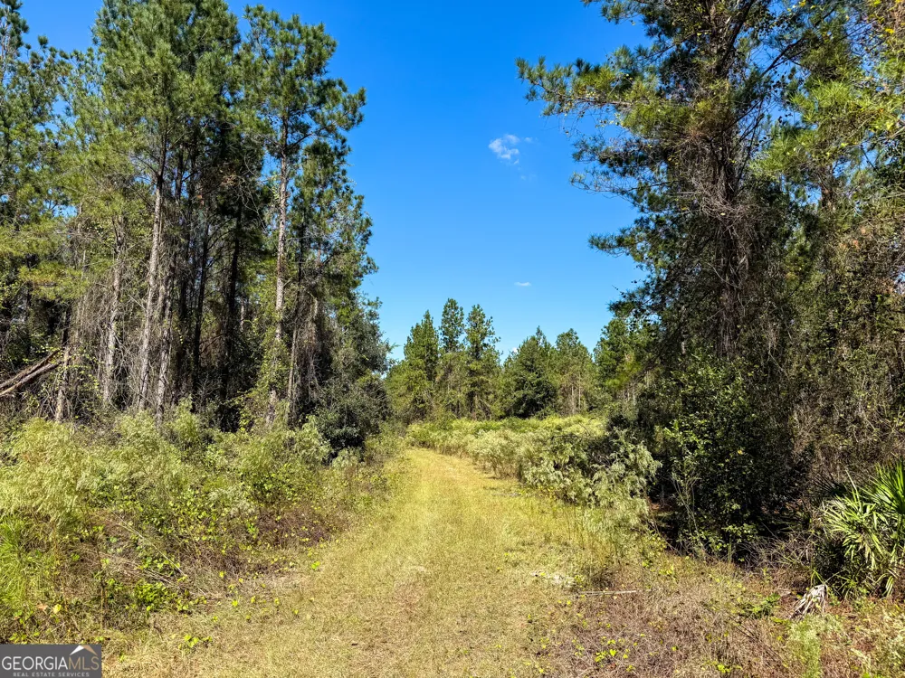 0 Highway 441 Jacksonville, GA 31544