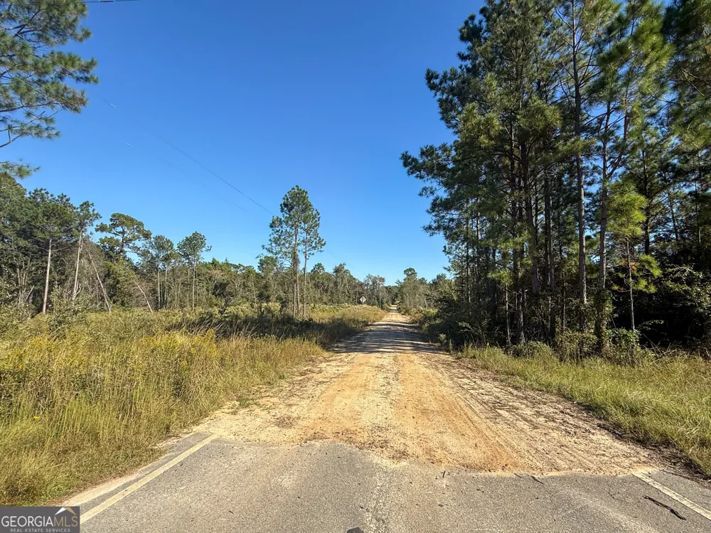 0 Highway 441 Jacksonville, GA 31544