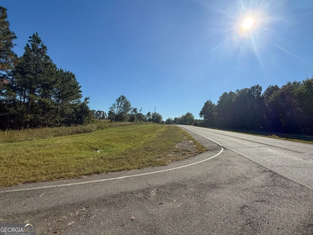 0 Highway 441 Jacksonville, GA 31544