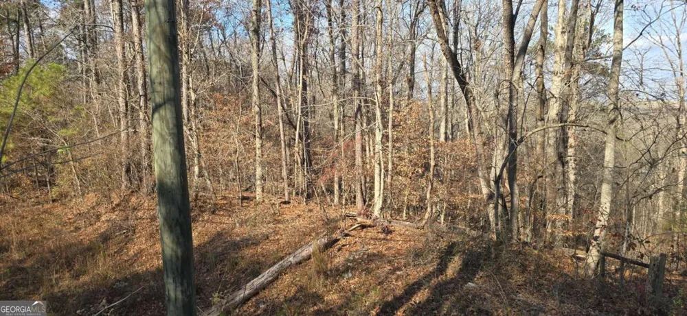 00001 Matt HWY Ball Ground, GA 30107