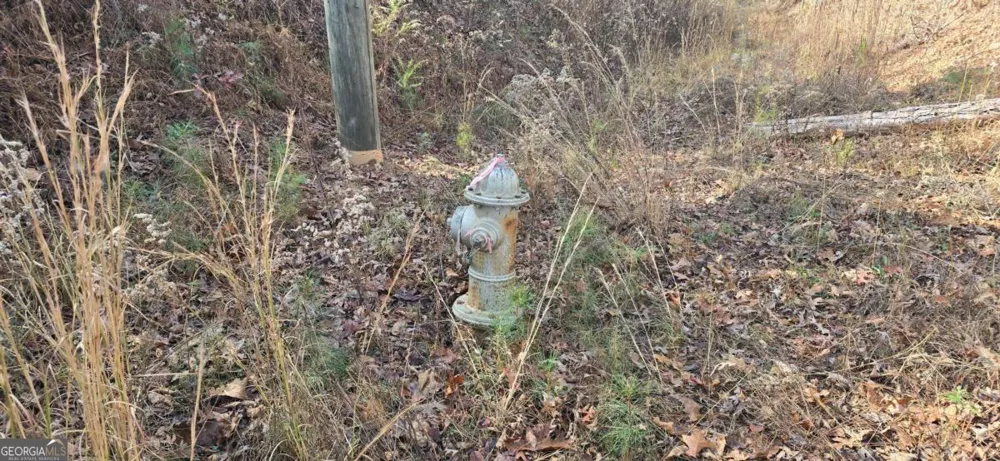 00001 Matt HWY Ball Ground, GA 30107