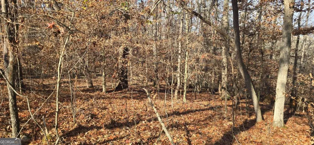 00001 Matt HWY Ball Ground, GA 30107