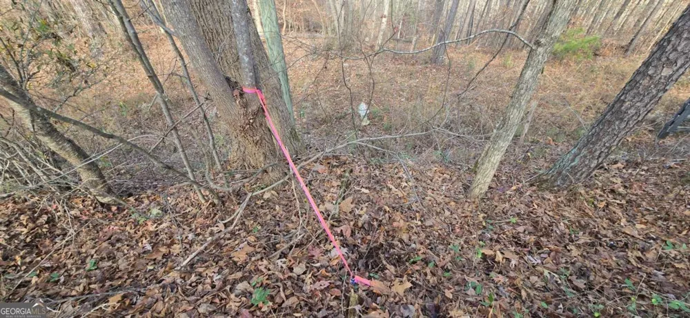 00001 Matt HWY Ball Ground, GA 30107