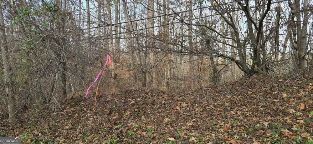 00001 Matt HWY Ball Ground, GA 30107