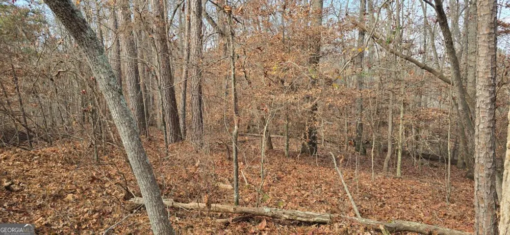00001 Matt HWY Ball Ground, GA 30107