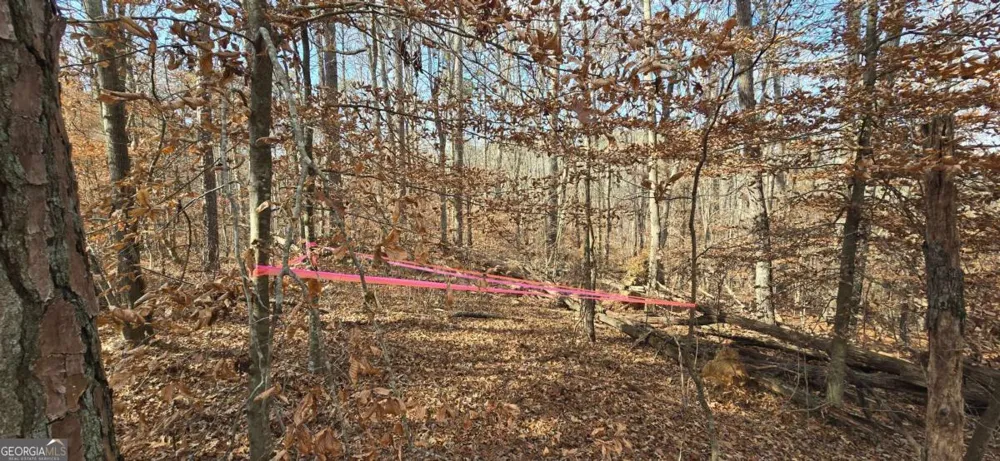 00001 Matt HWY Ball Ground, GA 30107