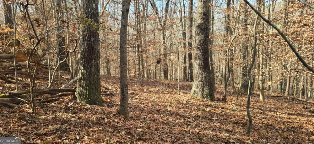 00001 Matt HWY Ball Ground, GA 30107
