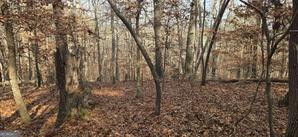 00001 Matt HWY Ball Ground, GA 30107