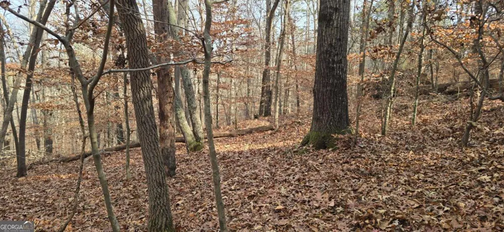 00001 Matt HWY Ball Ground, GA 30107