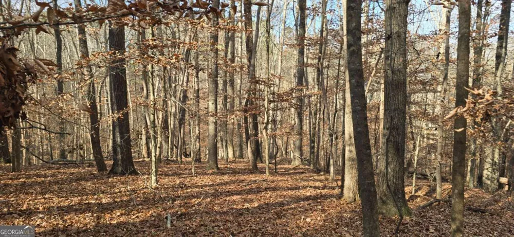 00001 Matt HWY Ball Ground, GA 30107