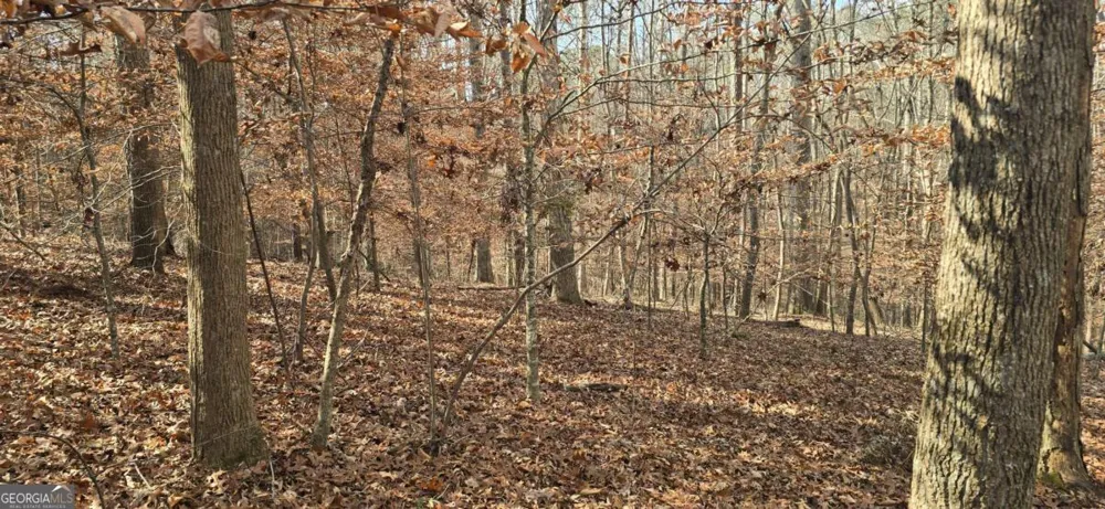 00001 Matt HWY Ball Ground, GA 30107