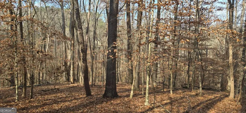 00001 Matt HWY Ball Ground, GA 30107