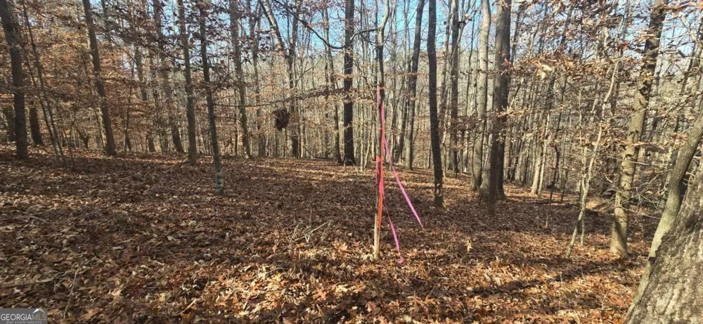 00001 Matt HWY Ball Ground, GA 30107