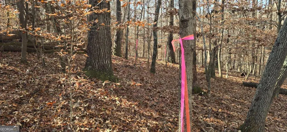 00001 Matt HWY Ball Ground, GA 30107
