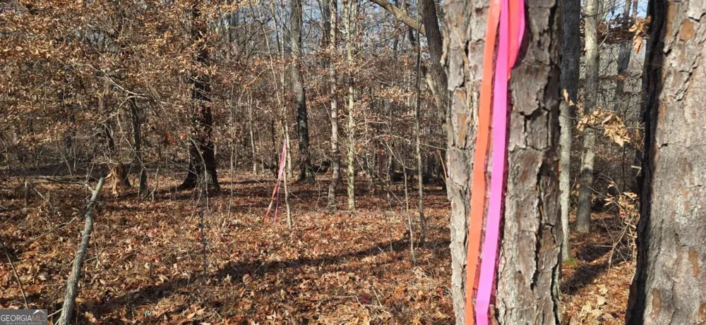 00001 Matt HWY Ball Ground, GA 30107