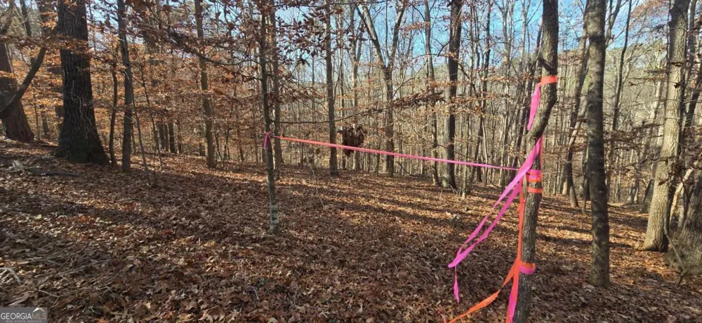 00001 Matt HWY Ball Ground, GA 30107