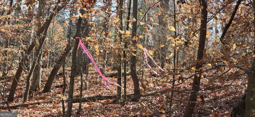 00001 Matt HWY Ball Ground, GA 30107