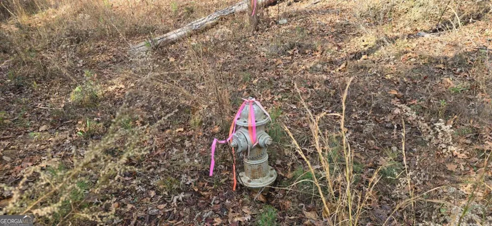 00001 Matt HWY Ball Ground, GA 30107