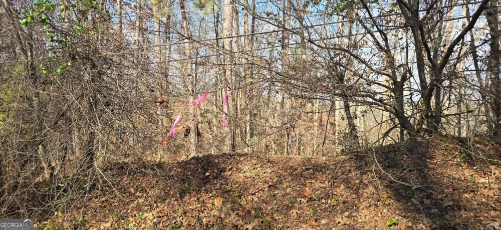 00001 Matt HWY Ball Ground, GA 30107
